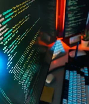Developer