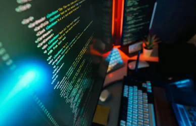 Developer